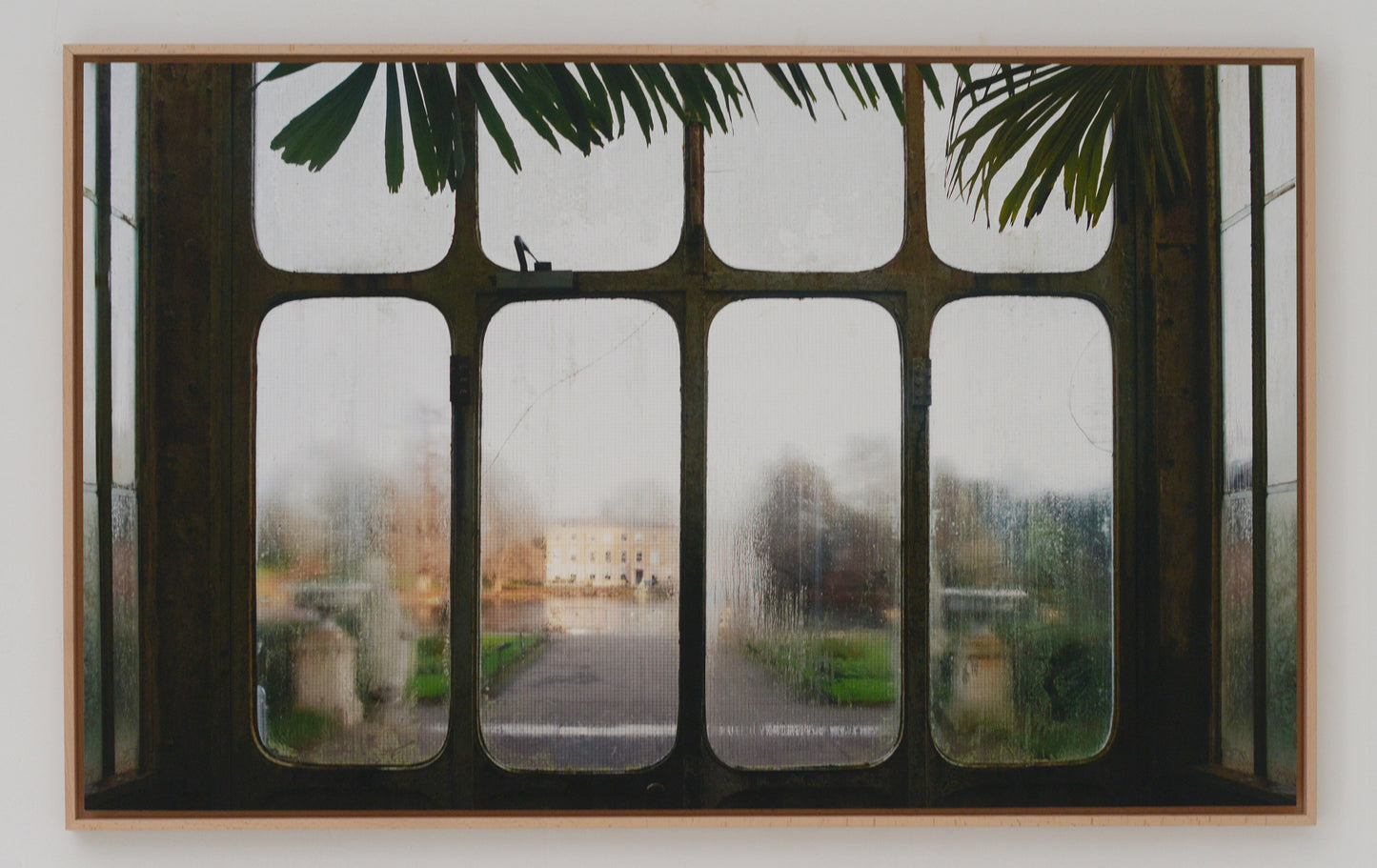 Royal Botanic Gardens, Kew, London XI.