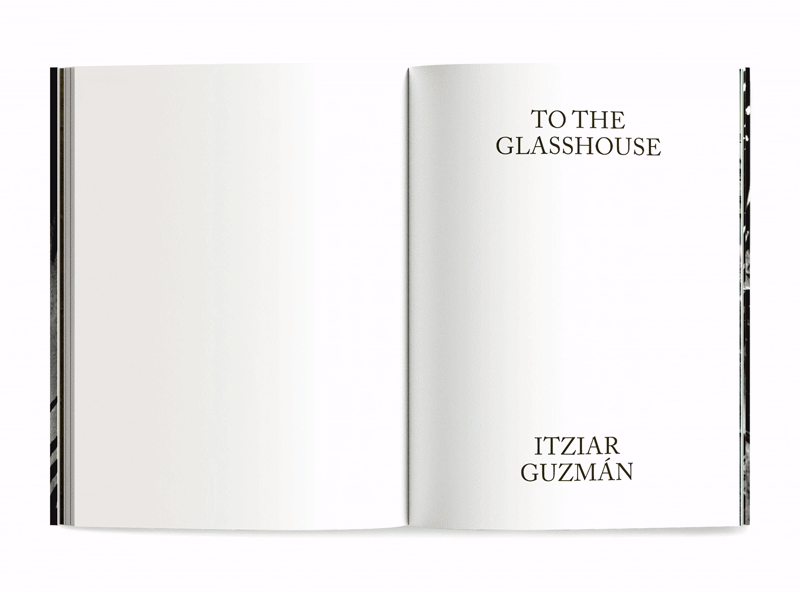 Libro To the Glasshouse