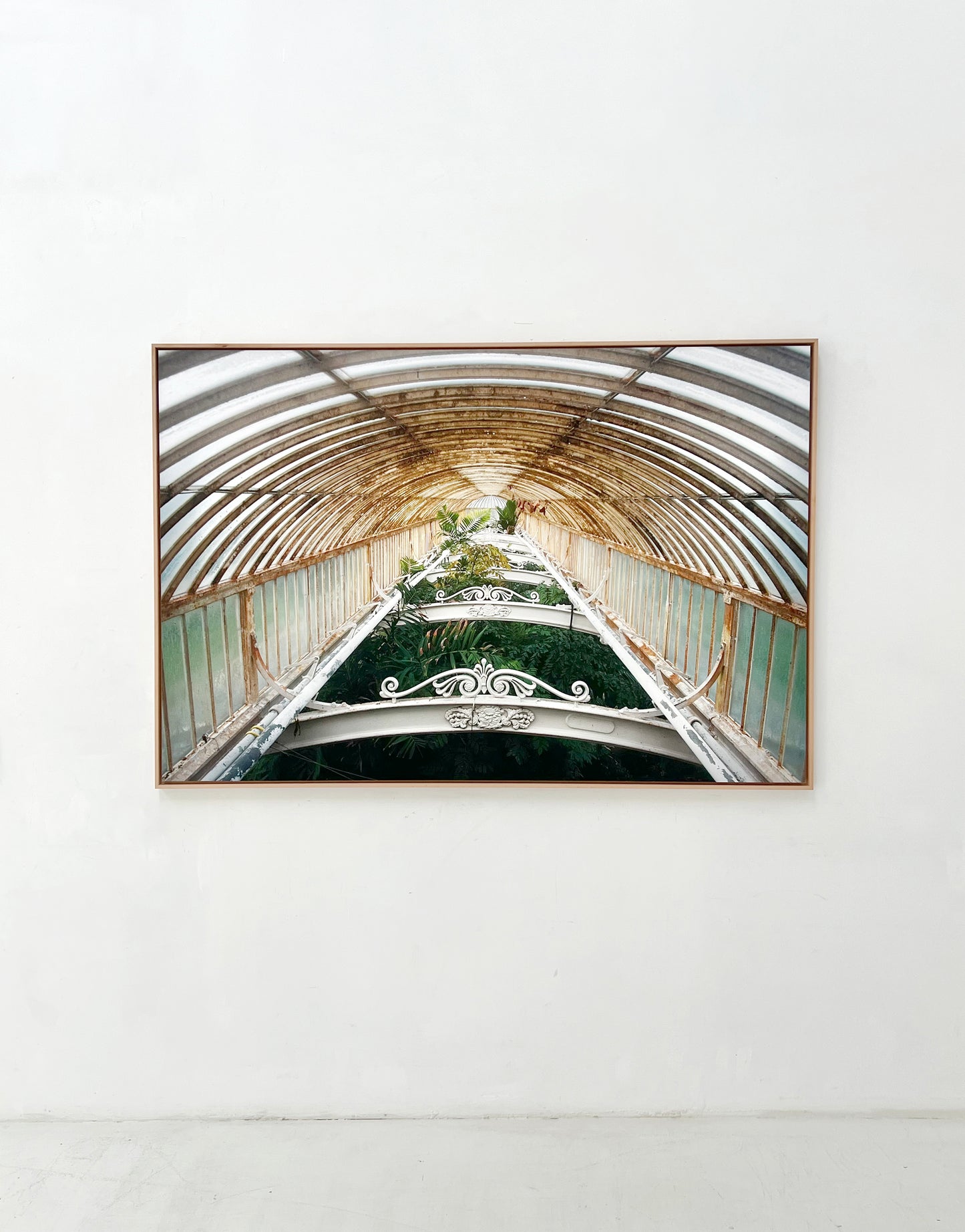 Royal Botanic Gardens, Kew, London I