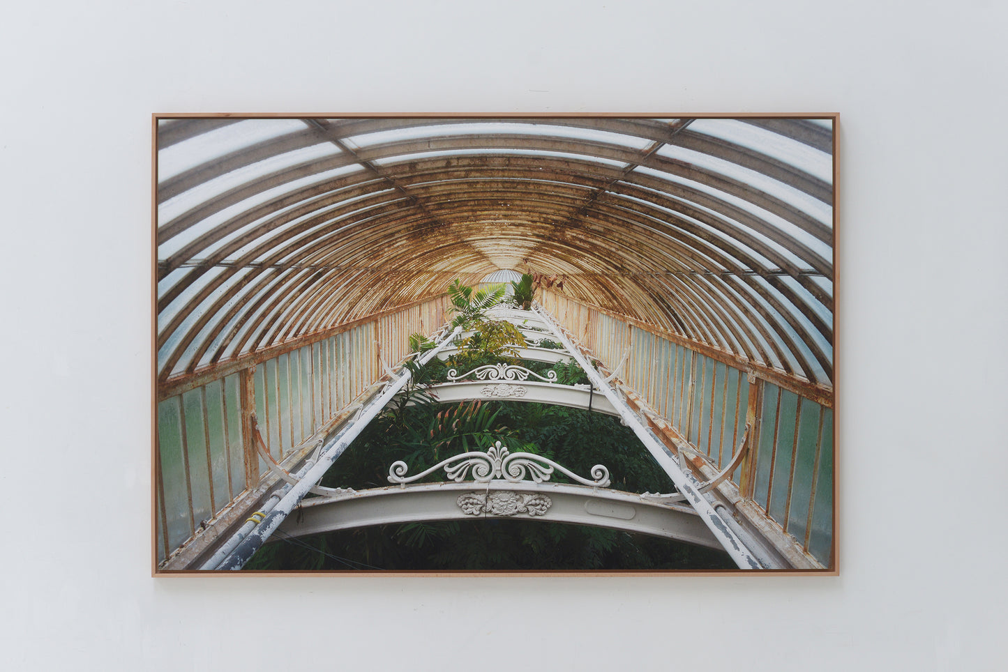 Royal Botanic Gardens, Kew, London I