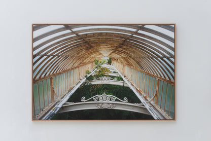Royal Botanic Gardens, Kew, London I