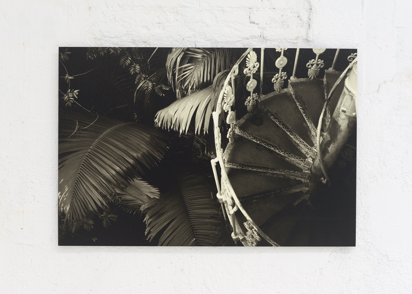 Royal Botanic Gardens, Kew, London III