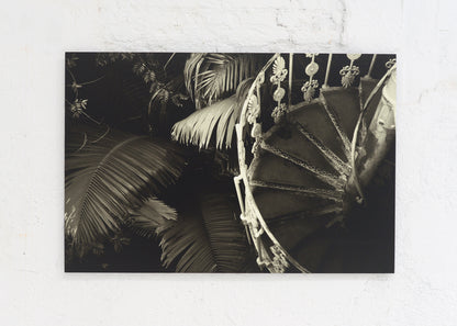 Royal Botanic Gardens, Kew, London III