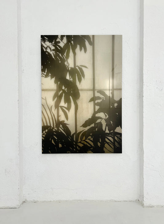 Royal Botanic Gardens, Kew, London VIII