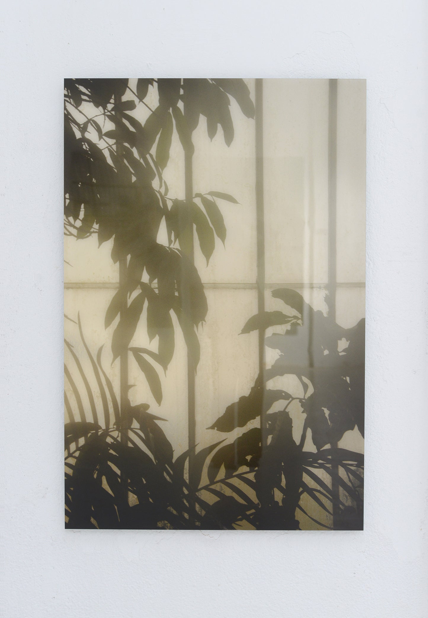 Royal Botanic Gardens, Kew, London VIII