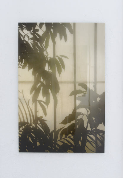 Royal Botanic Gardens, Kew, London VIII