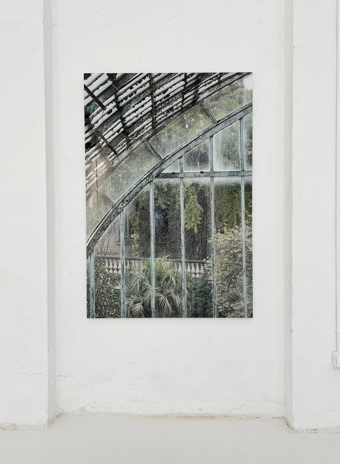 Jardin des Serres d´Auteuil, Paris II