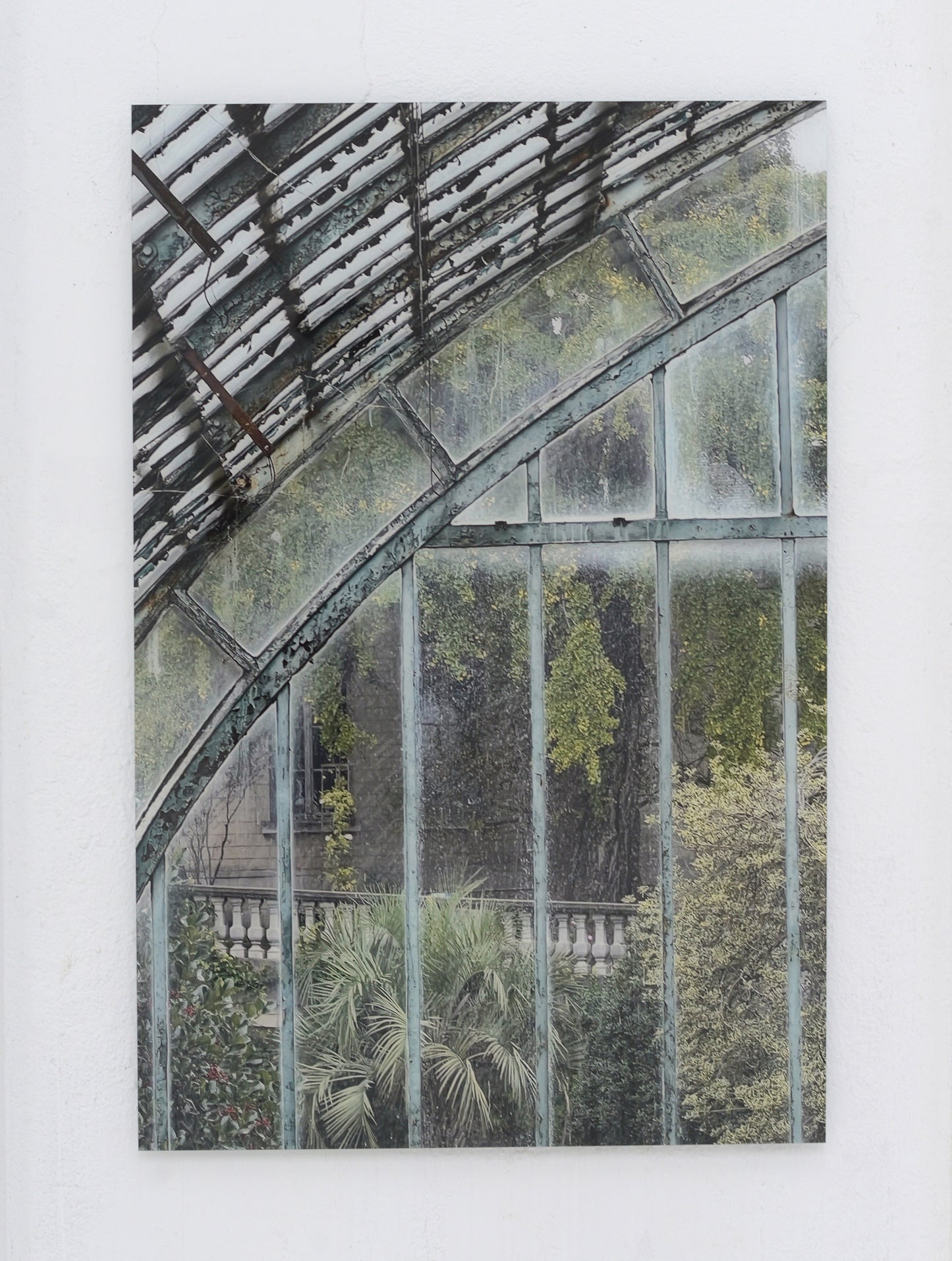 Jardin des Serres d´Auteuil, Paris II