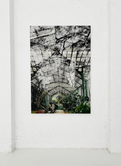Jardin des Serres d´Auteuil, Paris III