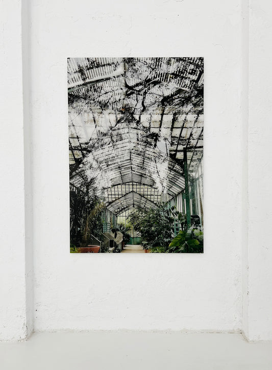 Jardin des Serres d´Auteuil, Paris III