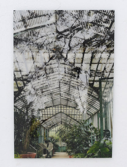 Jardin des Serres d´Auteuil, Paris III