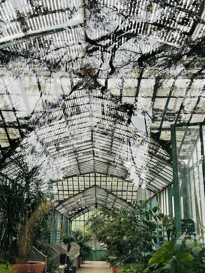 Jardin des Serres d´Auteuil, Paris III