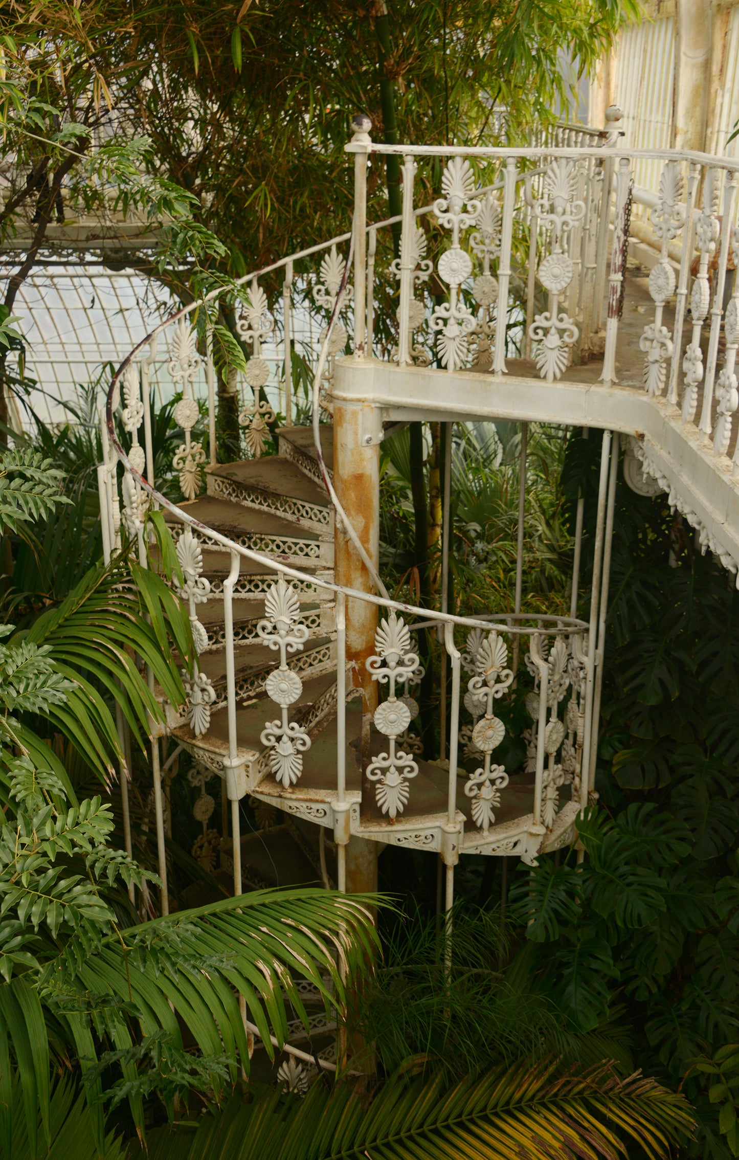 Royal Botanic Gardens, Kew, London IX