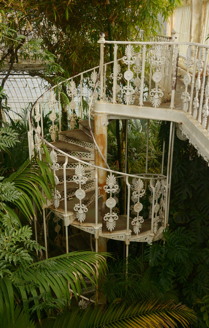Royal Botanic Gardens, Kew, London IX