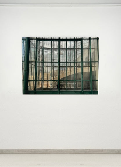 Invernaderos Reales de Laeken, Bruselas III