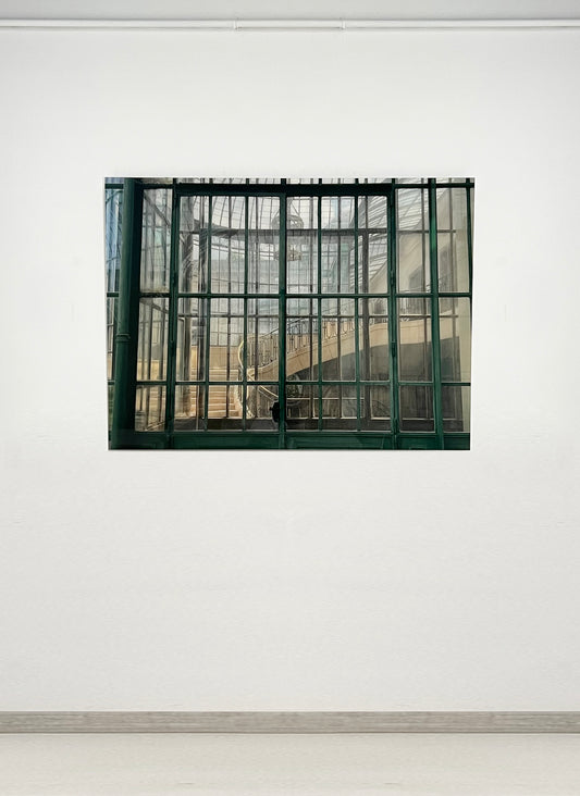 Invernaderos Reales de Laeken, Bruselas III