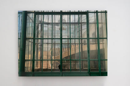 Invernaderos Reales de Laeken, Bruselas III